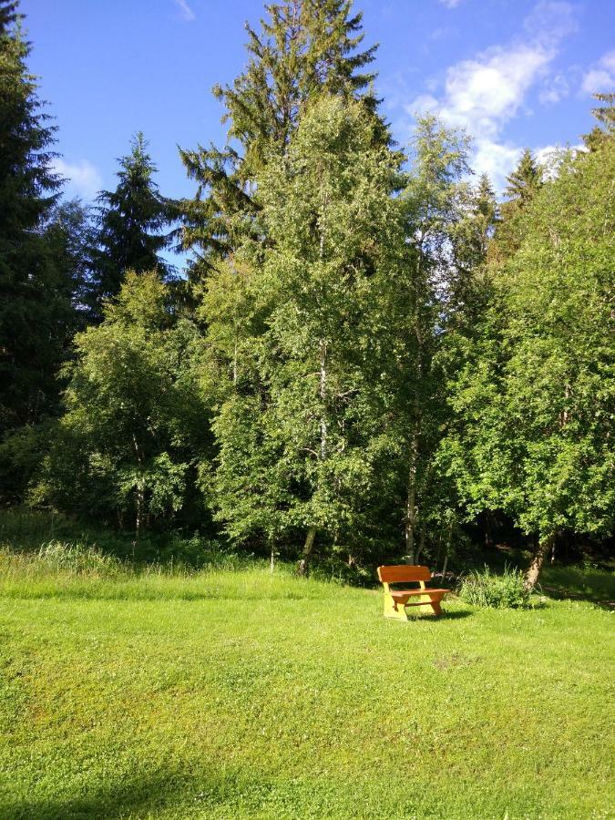 Black Forest Bollenhut Deluxe Ленцкірх Екстер'єр фото